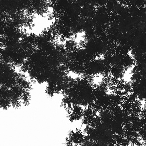 万紫千红钢管舞12
